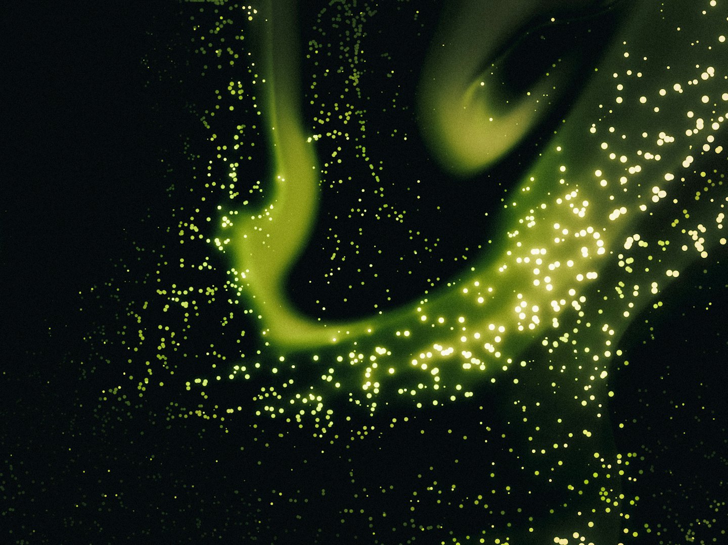 Particelle verde chartreuse luminose turbinano in motivi dinamici su uno sfondo scuro.